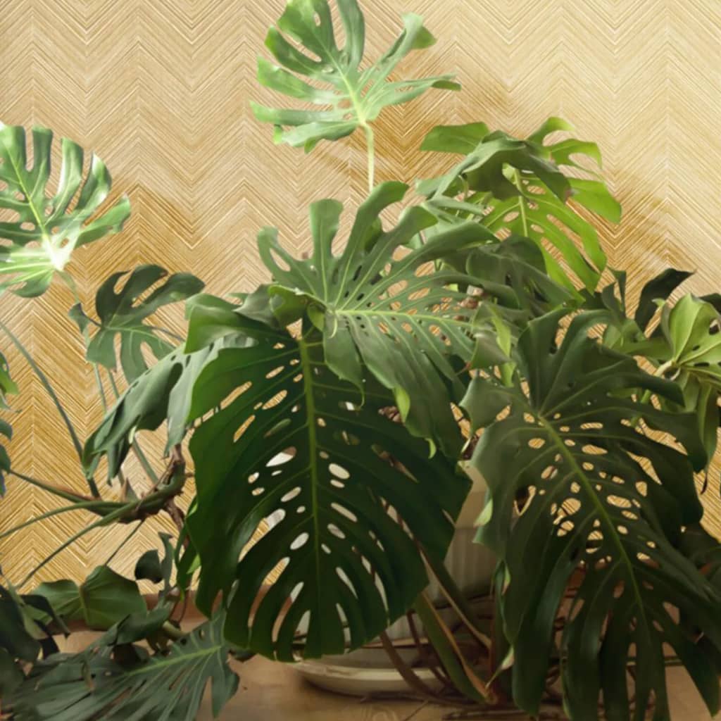 Tapete Topchic Herringbone Beige