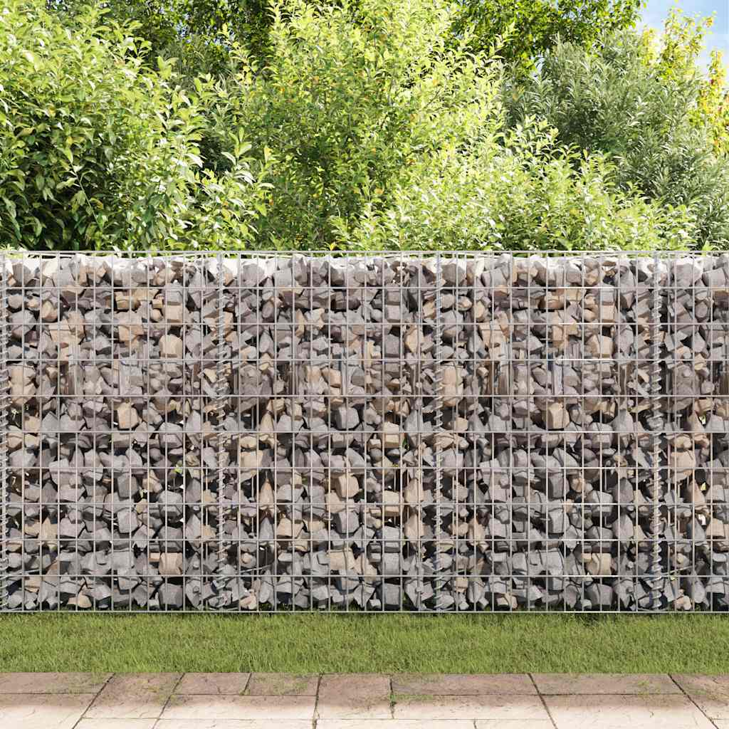 Gabionenkorb Pflanzkasten Gemüse-Hochbeet Stahl 120×30×100 cm