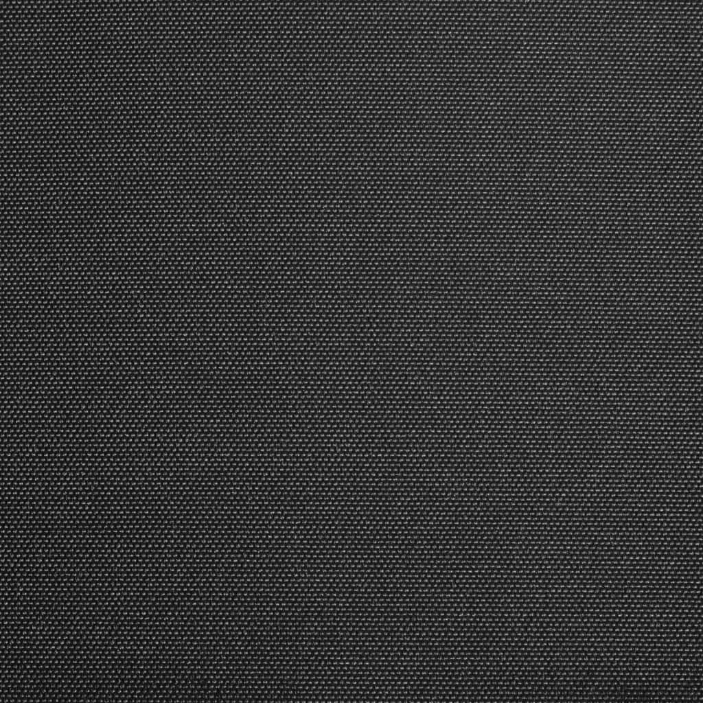 Markisenbespannung Canvas Anthrazit 300x250 cm