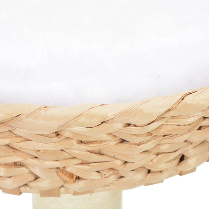Kattekradsestolpe Sisal Seagrass
