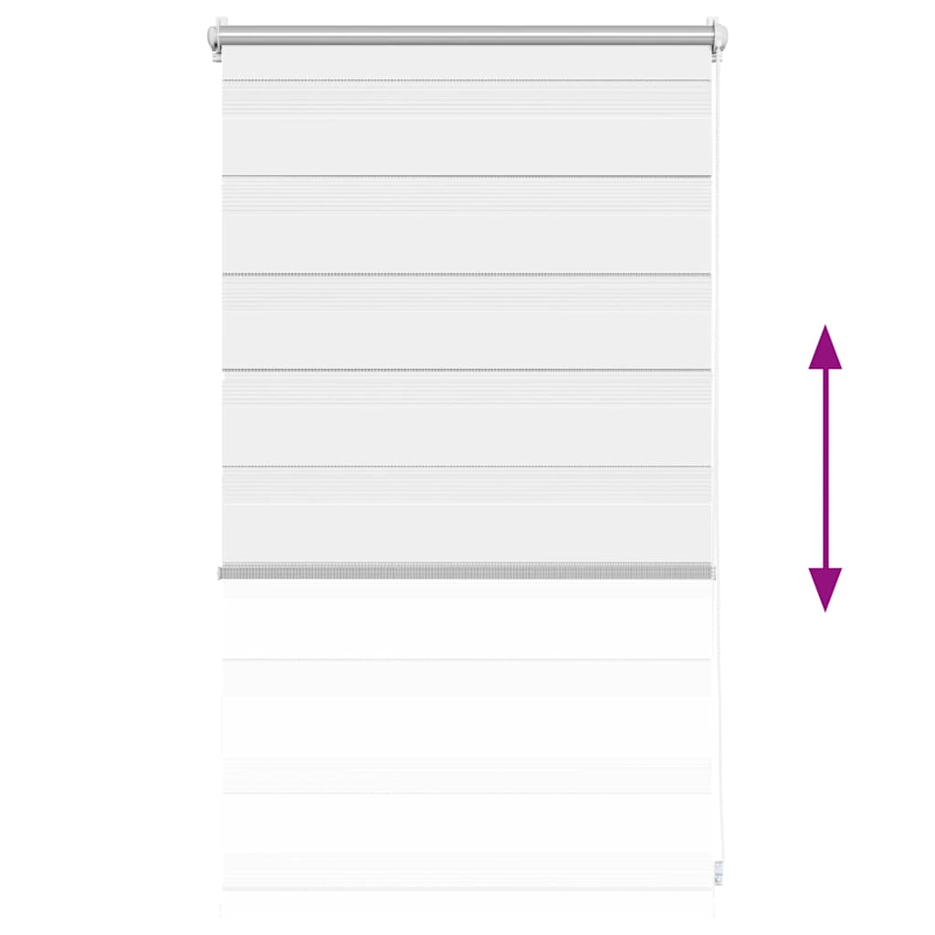 Doppelrollo Seitenzug Duo  50 x 100 cm
