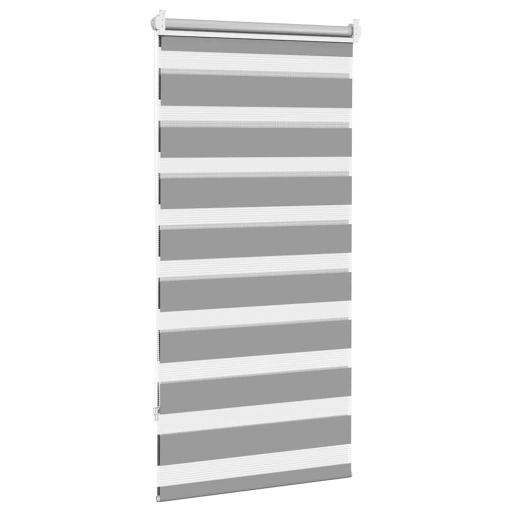 Doppelrollo Seitenzug 80 x 150 cm grau