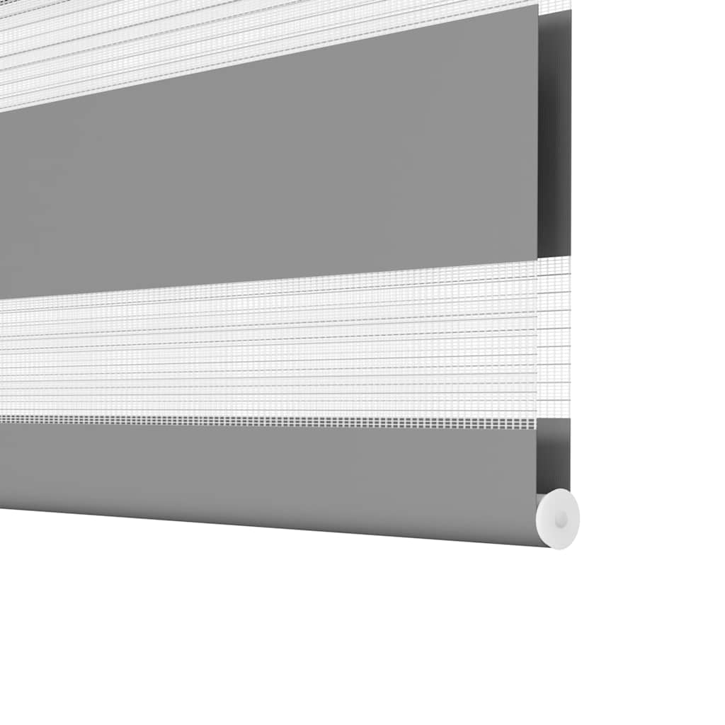 Doppelrollo Seitenzug 100 x 175 cm grau