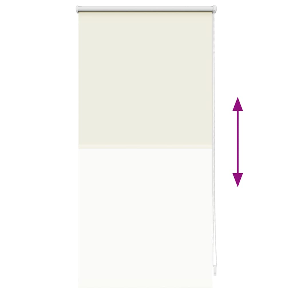 Verdunklungsrollo Verdunkelungsrollo 40 x 100 Beige