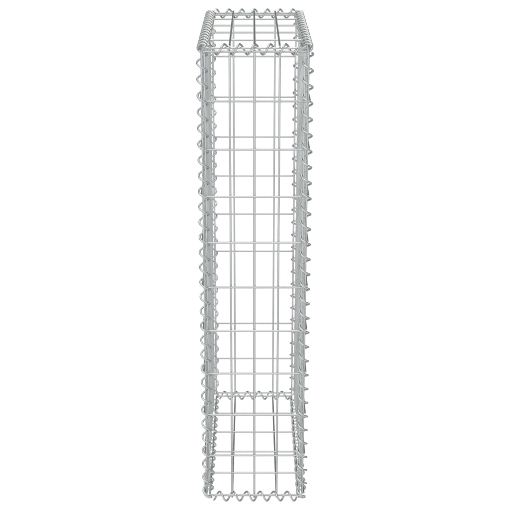 Gabionenwand mit Abdeckung Verzinkter Stahl 50×20×100 cm