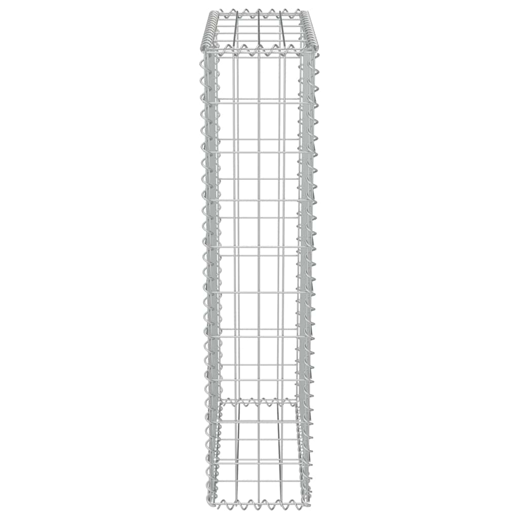 Gabionenwand mit Abdeckung Verzinkter Stahl 50×20×100 cm