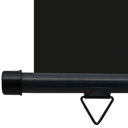 Balkon-Seitenmarkise 165x250 cm Schwarz