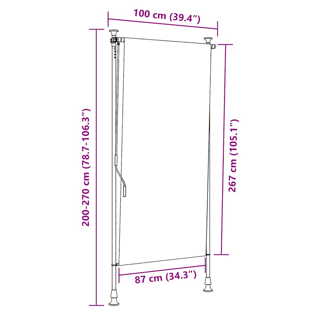 Außenrollo 100 x 270 cm Anthrazit