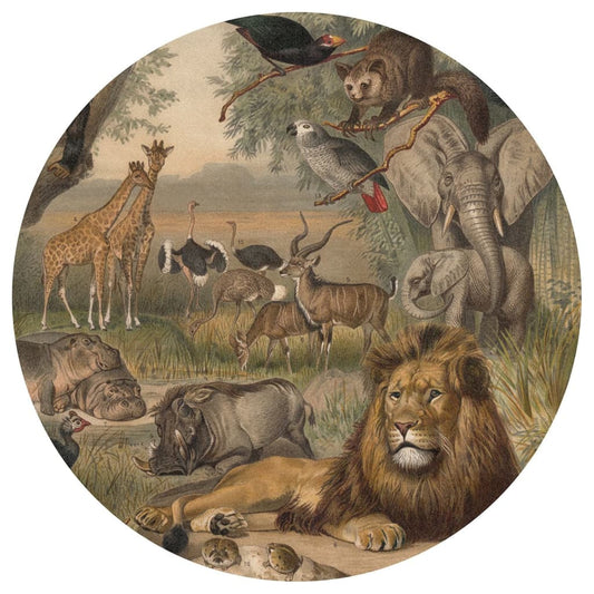 Fototapete Animals of Africa Rund 190 cm
