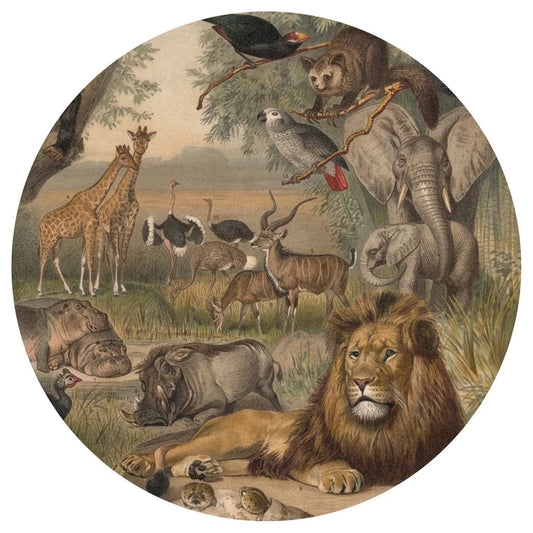Fototapete Animals of Africa 142,5 cm
