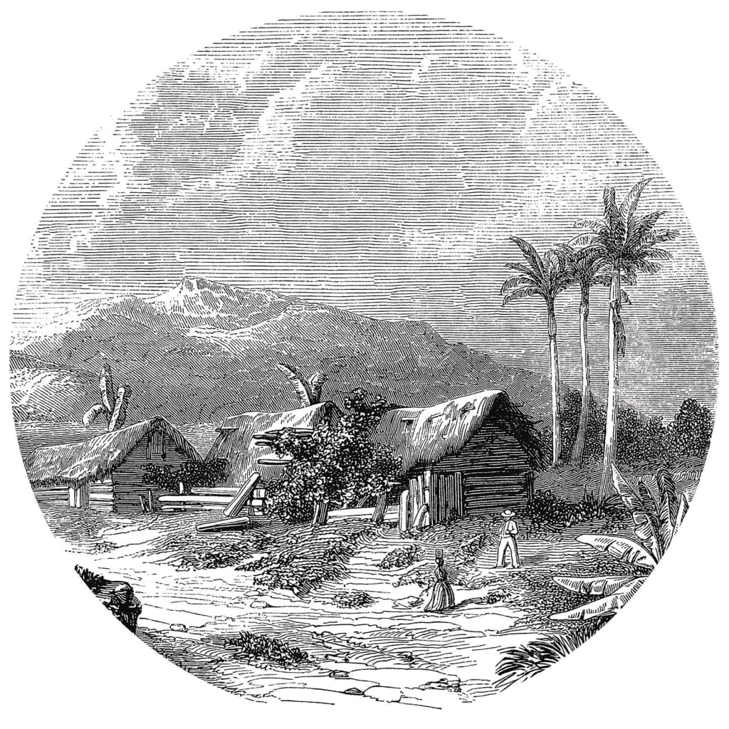 Fototapete Landscape of Guadeloupe Rund 190 cm