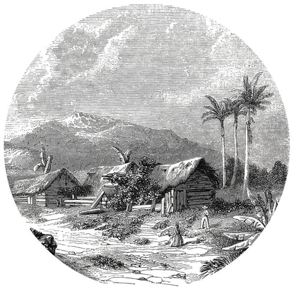 Fototapete Landscape of Guadeloupe Rund 190 cm