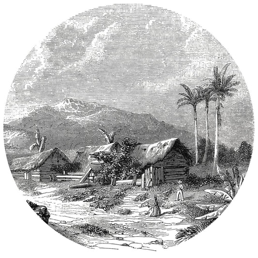 Fototapete Landscape of Guadeloupe Rund 190 cm