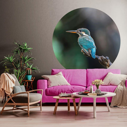 Fototapete The Kingfisher 142,5 cm