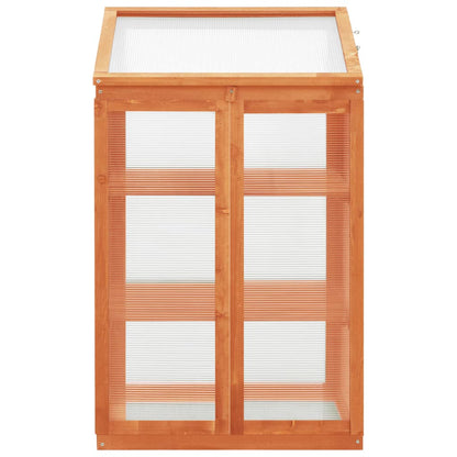 Gewächshaus 60x45x100 cm Tannenholz