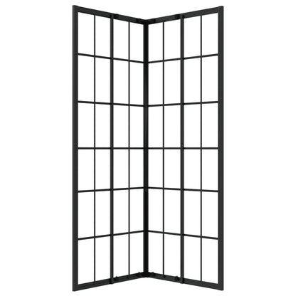 Duschkabine ESG 80x80x180 cm