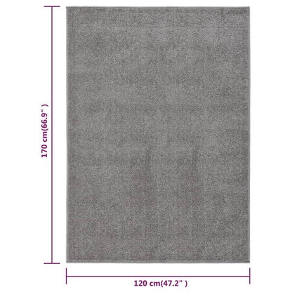 Teppich Kurzflor 120x170 cm Grau
