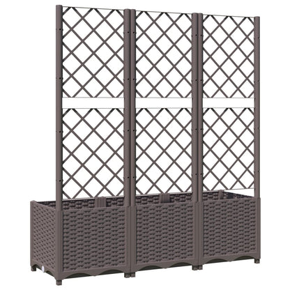 Garten-Pflanzgefäß mit Spalier Braun 120 x 40 x 136 cm PP