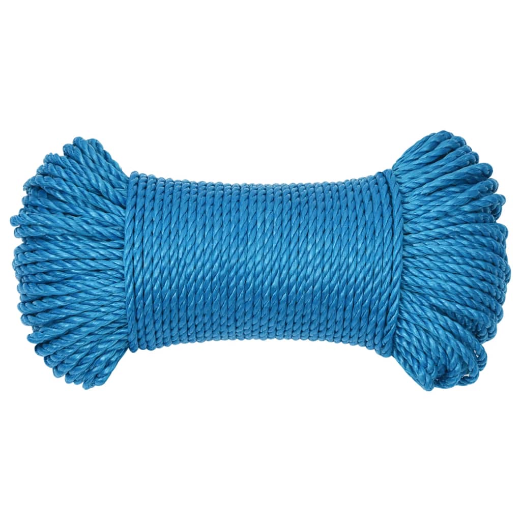 Arbeitsseil Blau 6 mm 50 m Polypropylen