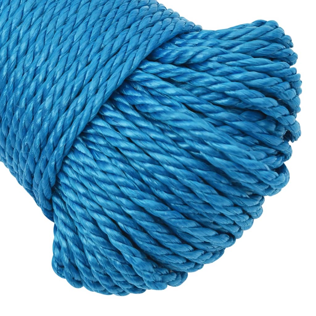 Arbeitsseil Blau 6 mm 50 m Polypropylen