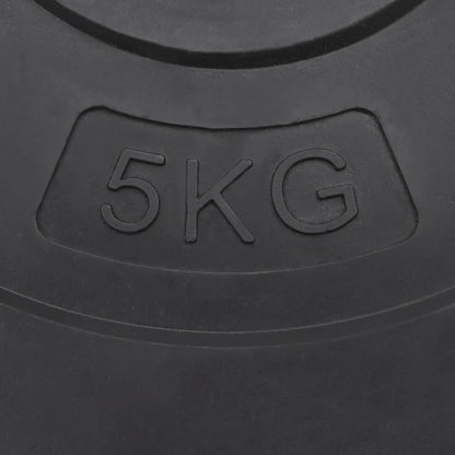Hantelscheiben 4 Stk. 30 kg Zement
