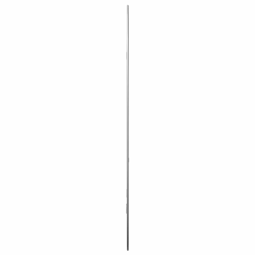 Wandspiegel Silbern 80x50 cm