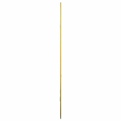 Wandspiegel Golden 70x45 cm