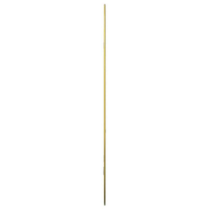 Wandspiegel Golden 80x50 cm