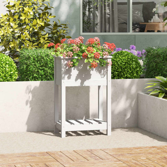 Plantekasse med hylde Hvid 54x34,5x81 cm Massiv fyrretræ