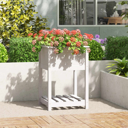 Plantekasse med hylde Hvid 54x54x81 cm Massiv fyrretræ