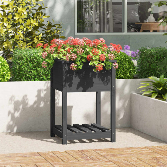 Plantekasse med hylde Grå 54x54x81 cm Massiv fyrretræ