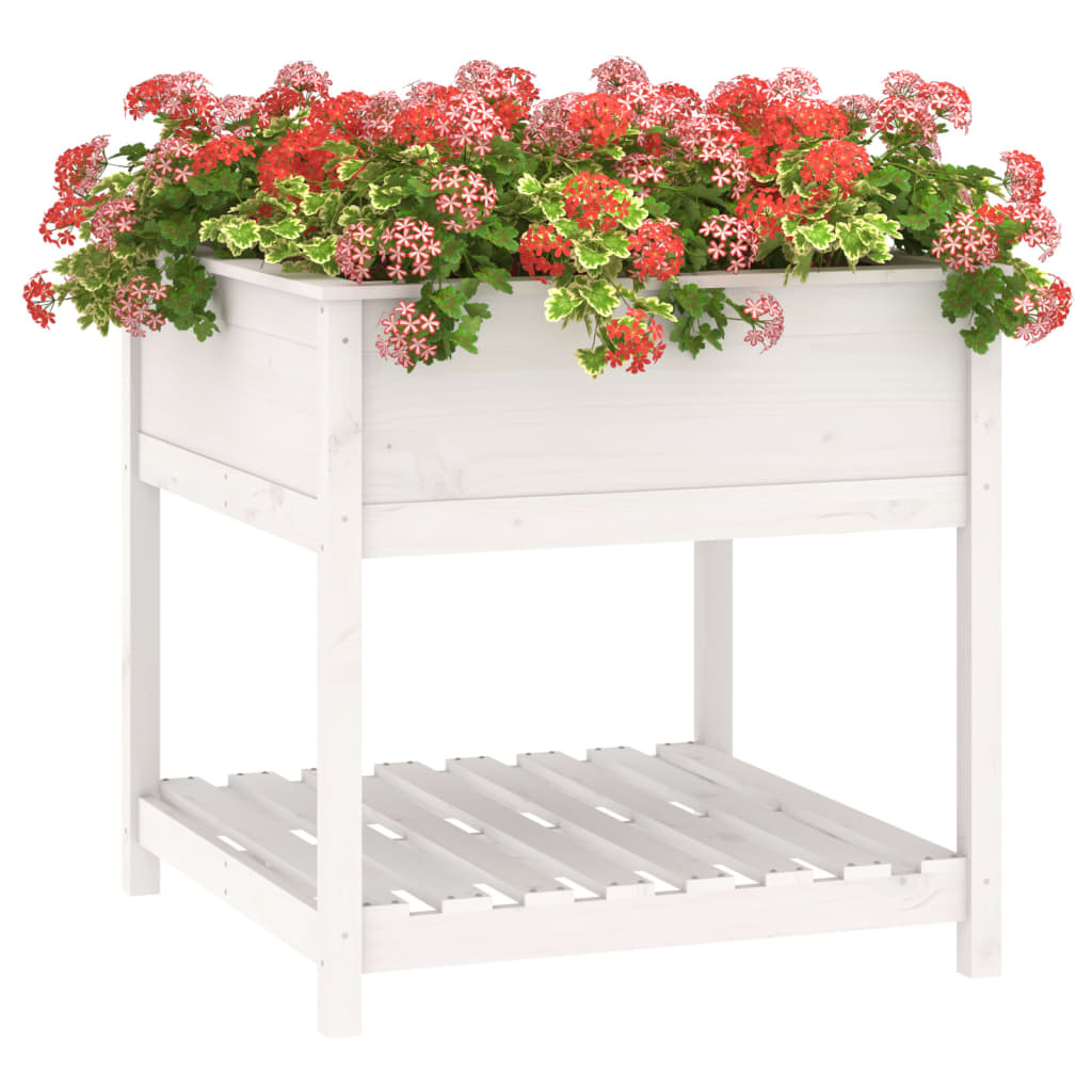 Plantekasse med hylde Hvid 82,5x82,5x81 cm Massiv fyrretræ