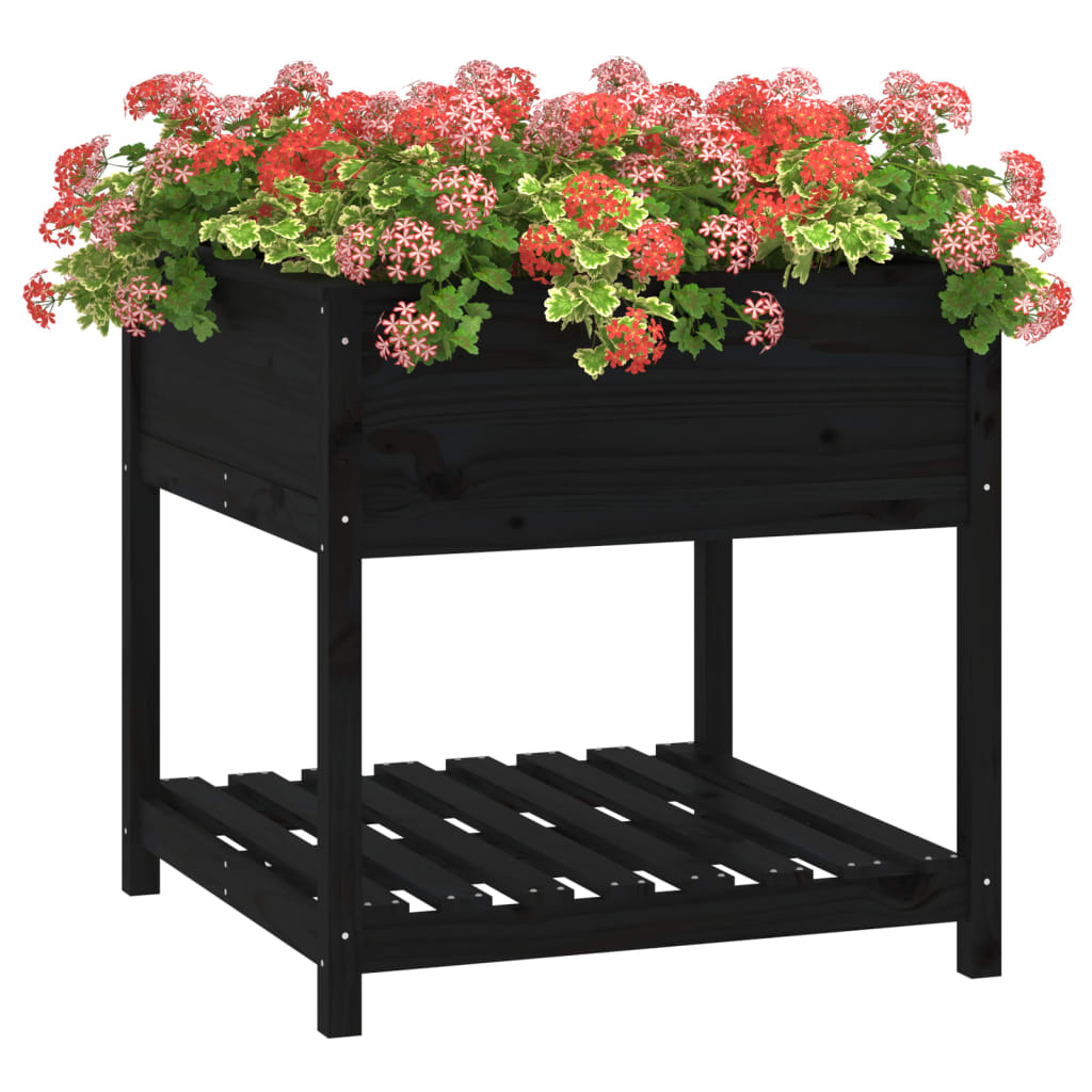 Plantekasse med hylde Sort 82,5x82,5x81cm Massiv fyrretræ