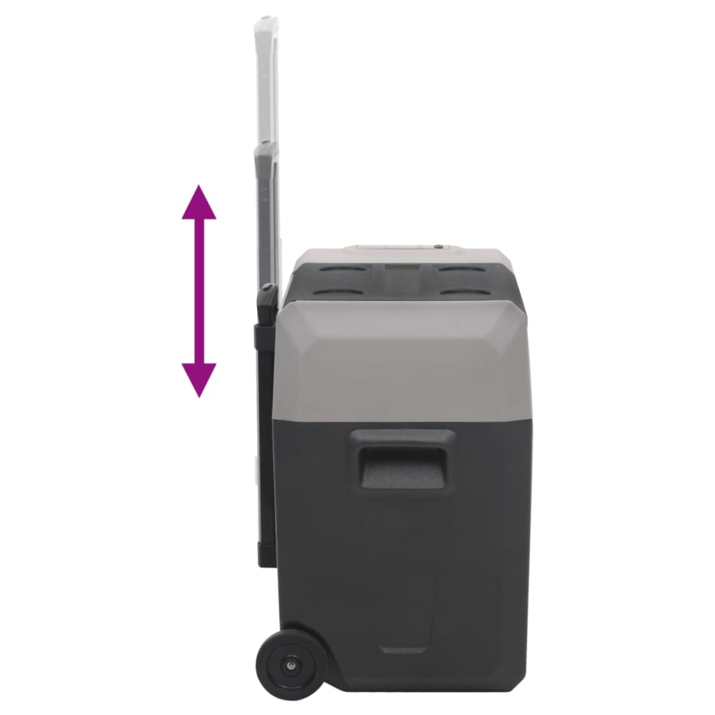 Køleboks med hjul og adapter Sort &amp; Grå 30 L polypropylen