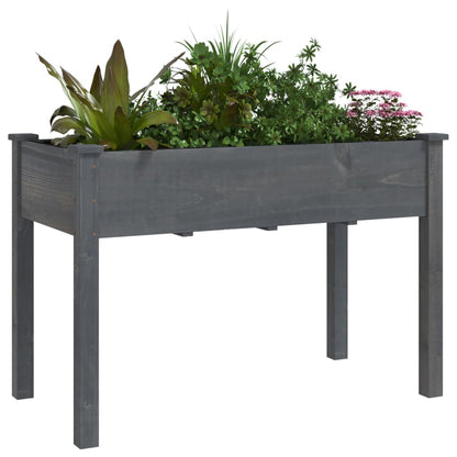 Pflanzkübel mit Einsatz Grau 118x59x76 cm Massivholz Tanne