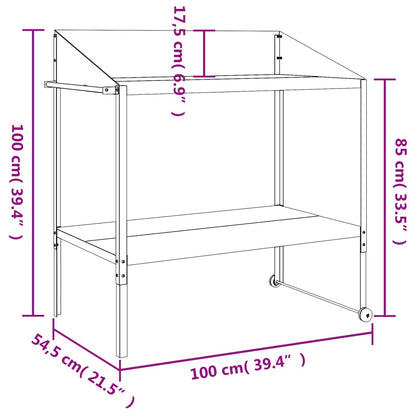 Pflanzenständer Anthrazit 100x54,5x100 cm Verzinkter Stahl