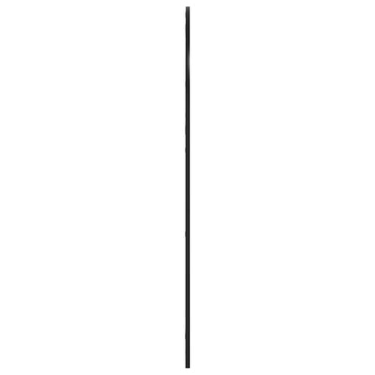 Wandspiegel Schwarz 80x120 cm Gewölbt Eisen