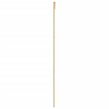 Schiebetür Golden 102,5x205 cm ESG-Klarglas und Aluminium