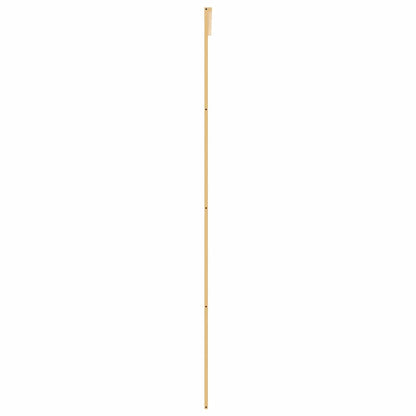 Schiebetür Golden 90x205 cm ESG-Klarglas und Aluminium