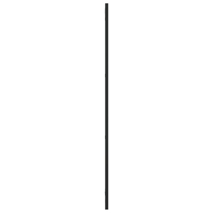 Wandspiegel Schwarz 30x100 cm Rechteckig Eisen