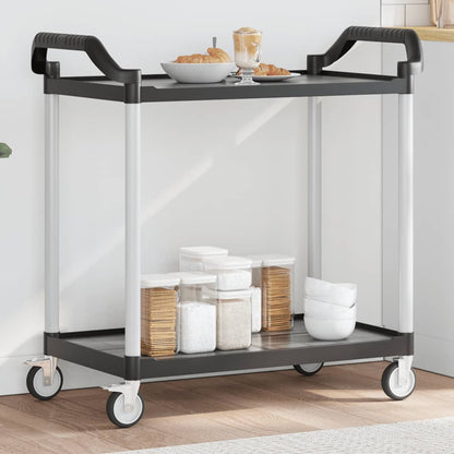 Rollwagen mit 2 Etagen Schwarz 99x50x97 cm Aluminium