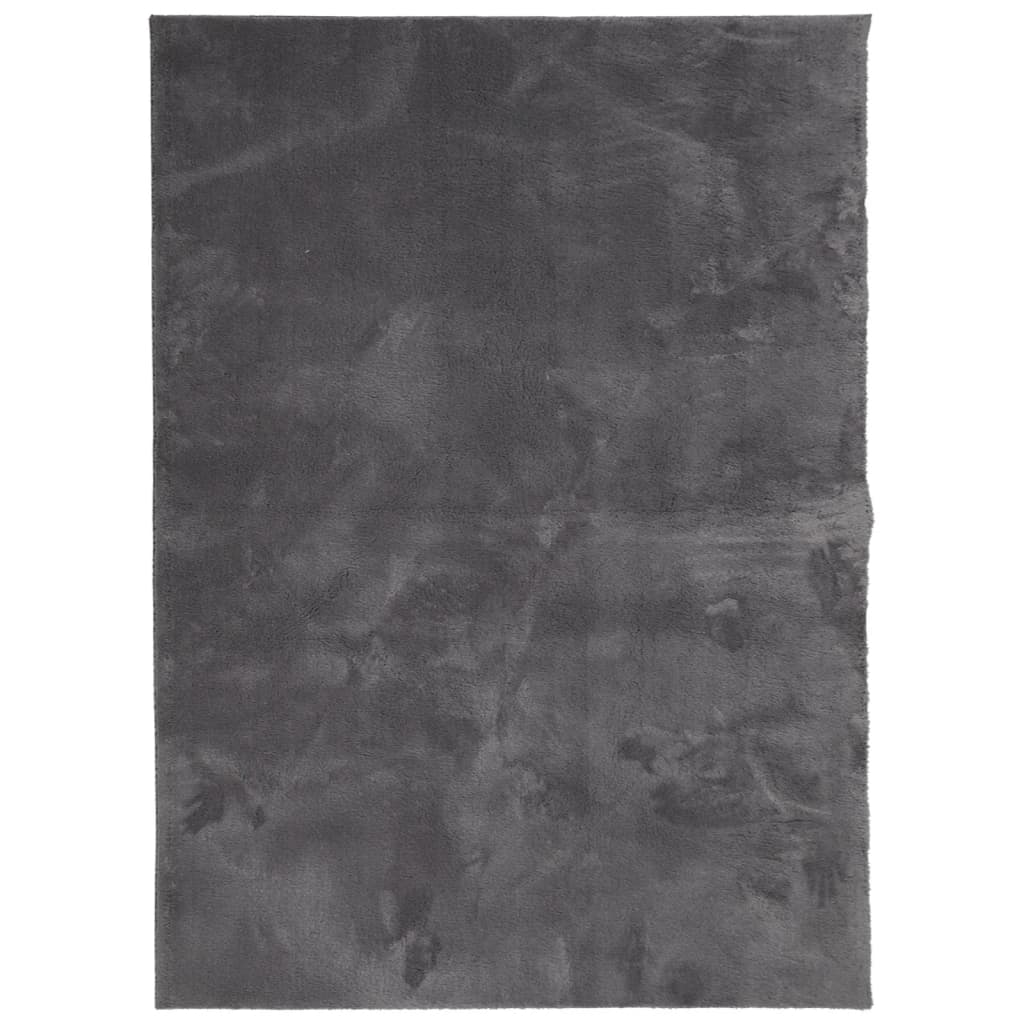 Teppich HUARTE Kurzflor Weich und Waschbar Anthrazit 140x200 cm