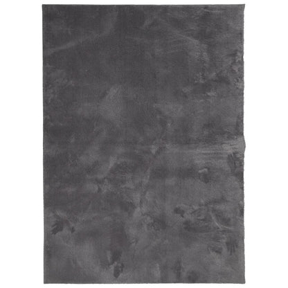 Teppich HUARTE Kurzflor Weich und Waschbar Anthrazit 140x200 cm