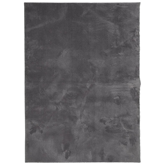 Teppich HUARTE Kurzflor Weich und Waschbar Anthrazit 140x200 cm