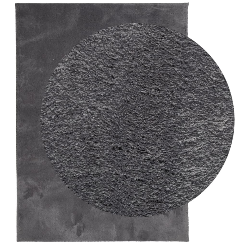 Teppich HUARTE Kurzflor Weich und Waschbar Anthrazit 140x200 cm