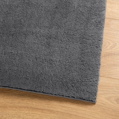 Teppich HUARTE Kurzflor Weich und Waschbar Anthrazit 140x200 cm