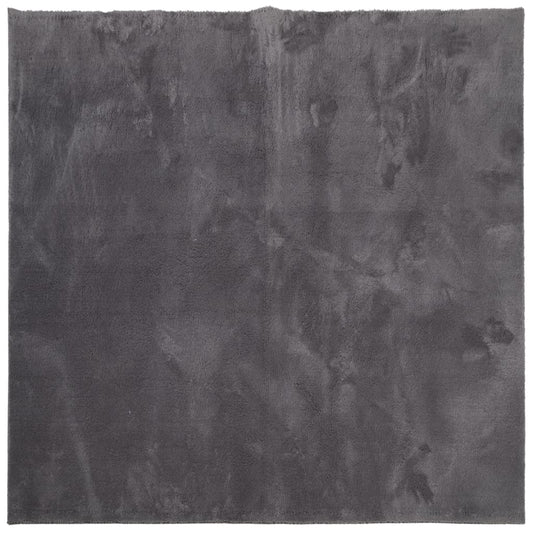 Teppich HUARTE Kurzflor Weich und Waschbar Anthrazit 160x160 cm