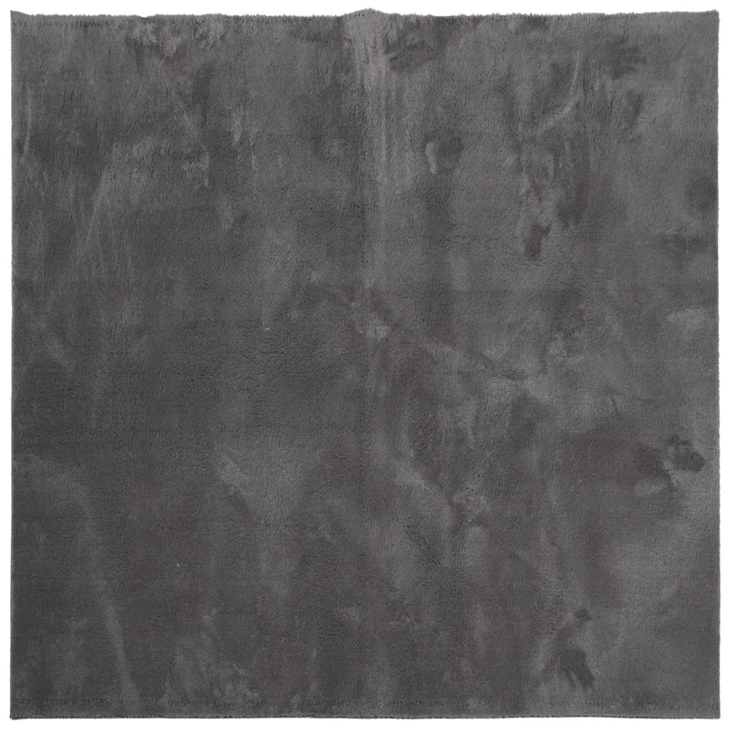 Teppich HUARTE Kurzflor Weich und Waschbar Anthrazit 200x200 cm
