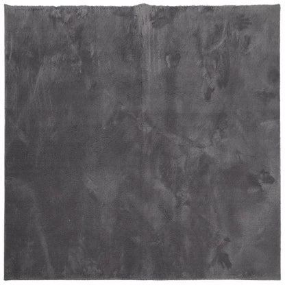 Teppich HUARTE Kurzflor Weich und Waschbar Anthrazit 200x200 cm