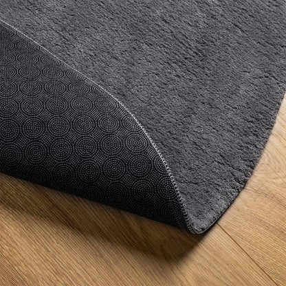 Teppich HUARTE Kurzflor Weich und Waschbar Anthrazit Ø 120 cm